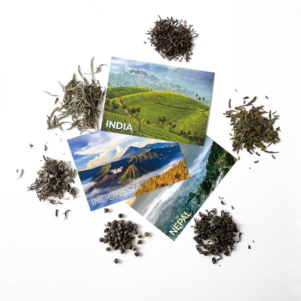 (Free) Tea World Tour